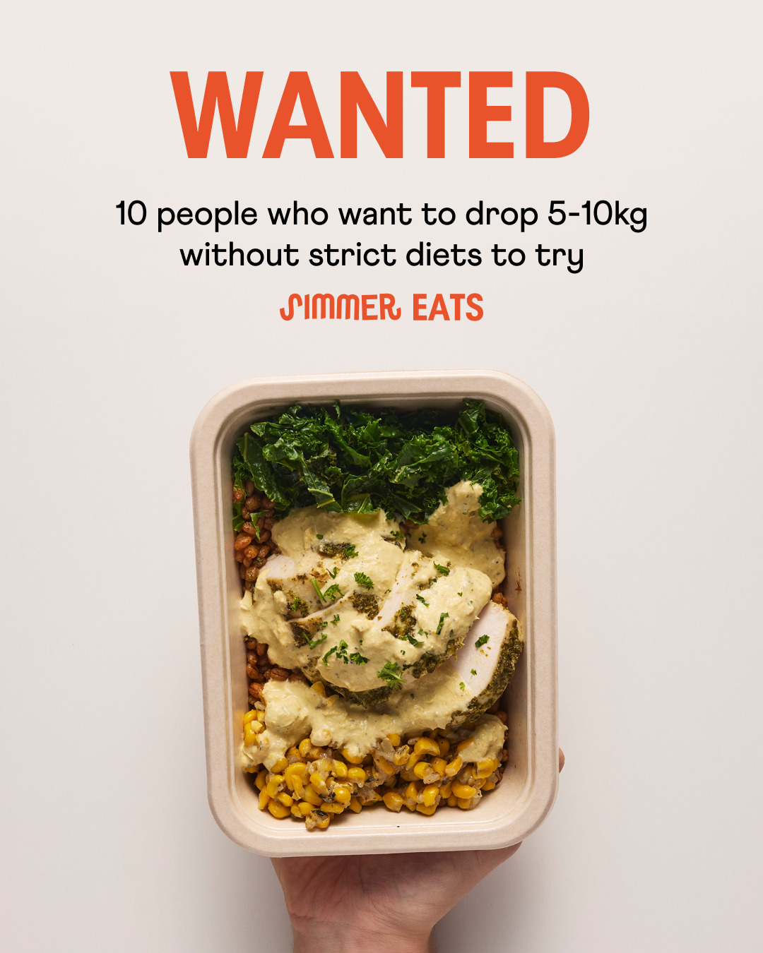 Wanted Recruit ad template